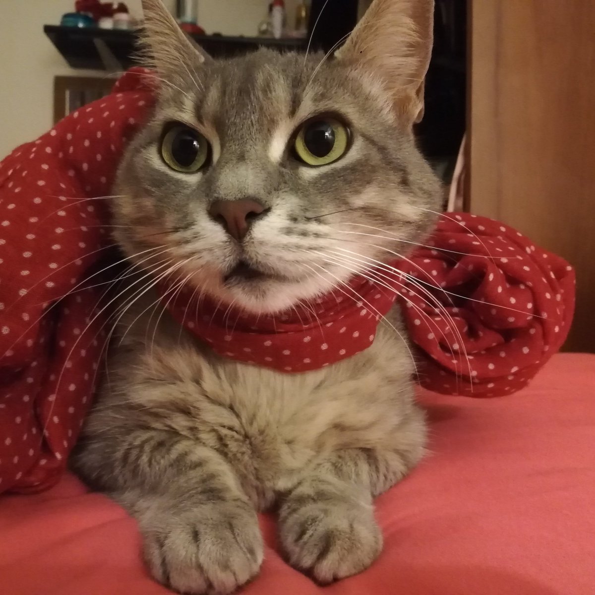 mudlu yıllarrrr canlarım #YeniProfilResmi