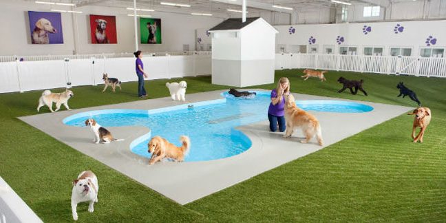 🟢Guardería canina en Gijón
🟢 Conocemos cómo se trabaja estos días en el Teléfono de la Esperanza
🟢El Gobierno aprueba un nuevo paquete anticrisis con medidas en alimentación
🟢2 años vacunando de la Covid
A partir de las 17.00h en <a href="/RTPAOficial/">RTPA</a>