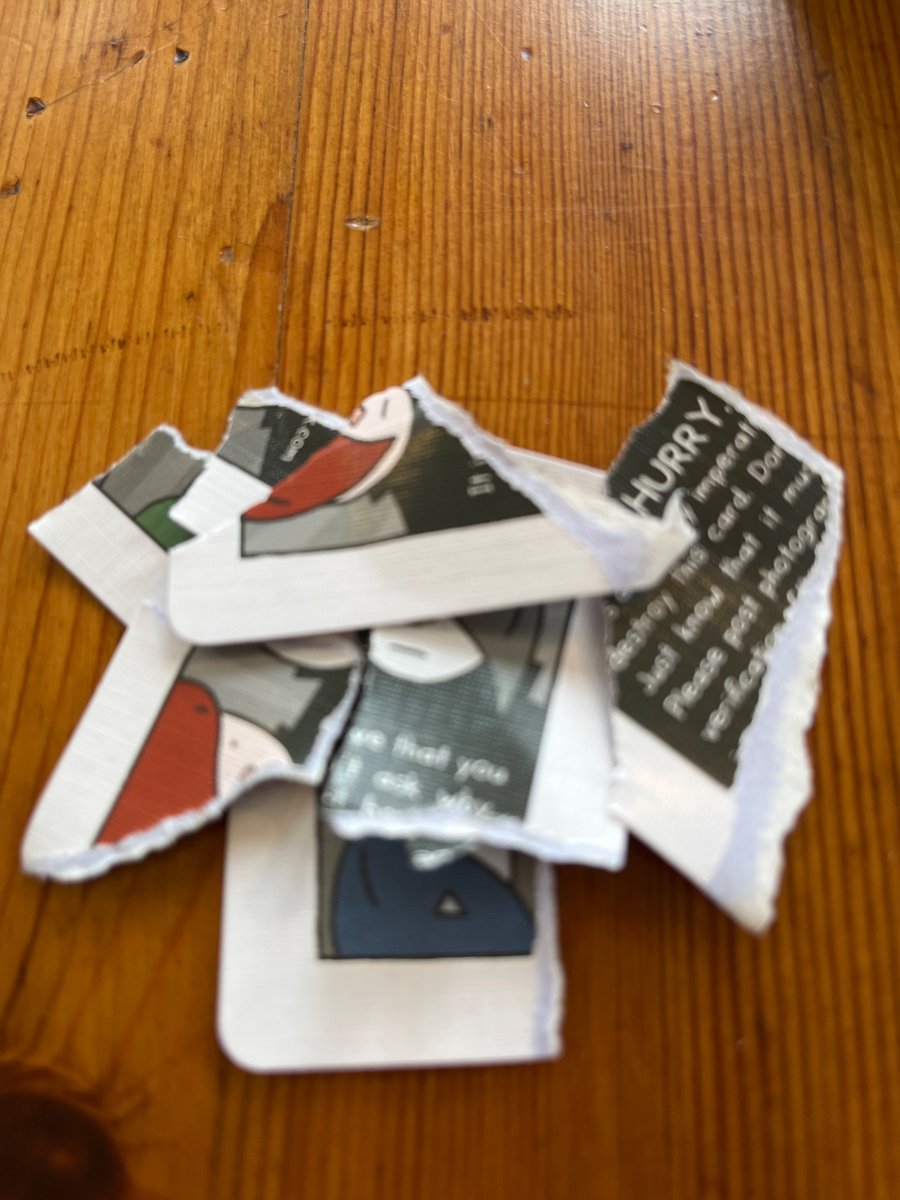 Rebecca Minehart, MD (@rdminehart) on Twitter photo #destroythiscard #destroythiscard