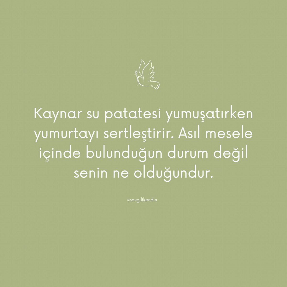 Sevgili kendim, (@sevgilikendin) on Twitter photo 