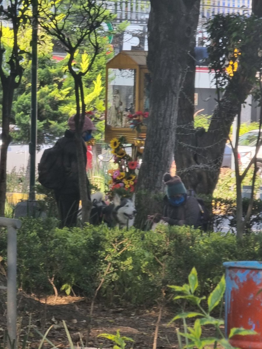 Hola a quien le dé a cuidar a estas mujeres a sus perros tengan cuidado, las acabo de ver pegándoles y uno se les soltó y lo levantaron horrible! Las encaré y me amenazaron, por favor RT para que llegue a los dueños que seguro viven en <a href="/LaNapolesCdMx/">La Nápoles CdMx</a> <a href="/BJAlcaldia/">Alcaldía de Benito Juárez</a> <a href="/AmorSinRaza/">AmorSinRaza</a>