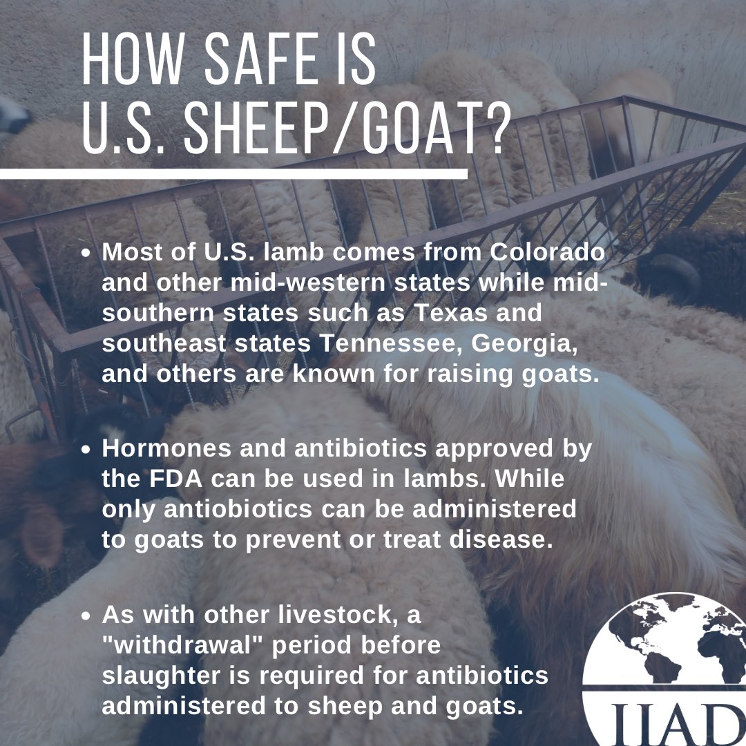 IIADAgriLife's tweet photo. This week: Sheep &amp; Goats🐑🐐

Scroll to learn where these livestock are raised &amp; view U.S. guidelines &amp; food safety &amp; handling practices to follow when consuming sheep &amp; goat meat 🍲

#publichealth #animalhealth #veterinarian #sheep #goats #sheepindustry #goatindustry #foodsafety https://t.co/9qKwXna299