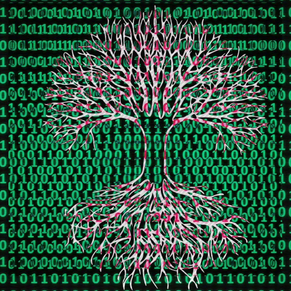 web3canuck.crypto tweet media