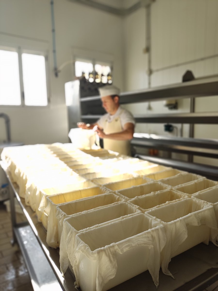 Montequesos's tweet photo. Días de venta pero sin dejar a un lado la fabricación.
#artesanos #queseriamontequesos
#dondehayquesohayalegria #quesodeautor #patamulo #pataoveja #elpatamulodevalladolid https://t.co/TLbjgghLU0