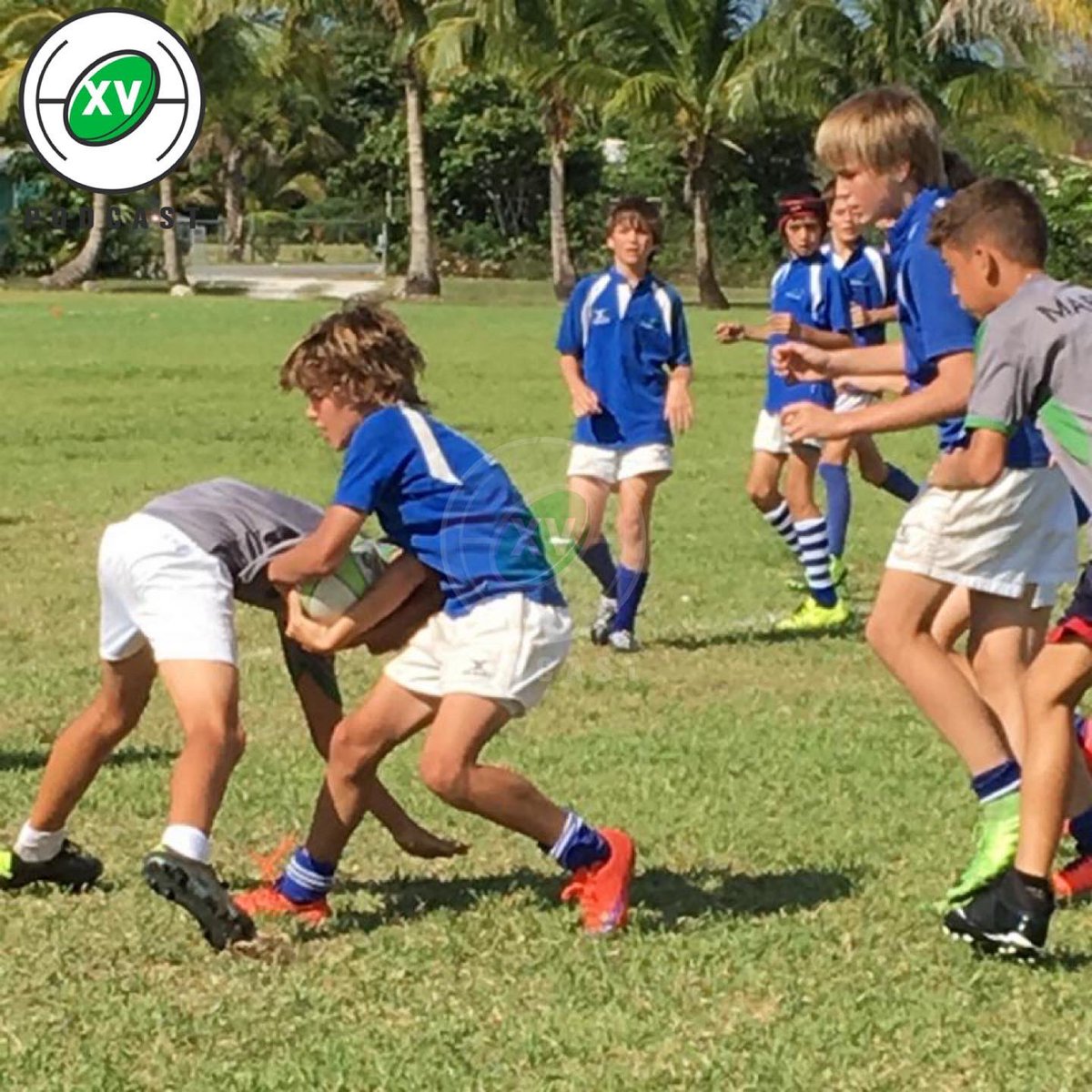 Patricio Fernandez tweet media