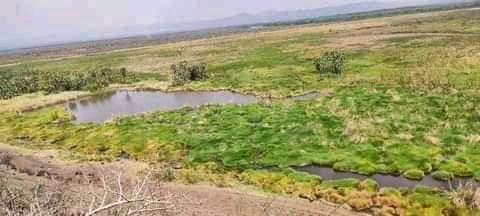 African Map found in South Omo
Ethiopia is a land of cradle.What a magic hot spring found in Nyangatom District. It is 17 kms from Kangaten to Loringkachawu kebele.If you see the spring, it looks like an African map.
