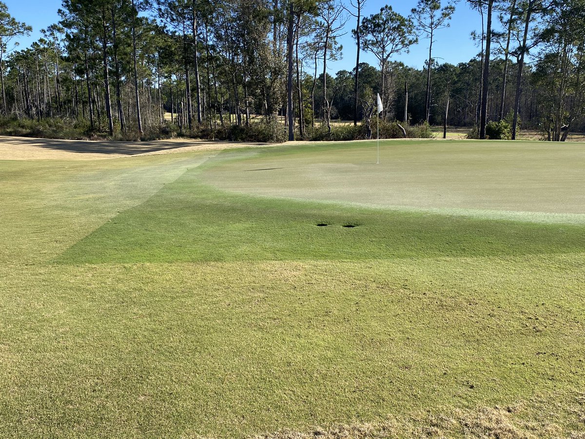 🏴☠️ Jeremy Stevens 🏴☠️ (@jerm_stevens) on Twitter photo The greens covers here <a href="/PreserveGCAgr/">PreserveGC Agronomy</a> definitely did their job during the cold weather! <a href="/VAturf/">Mike Goatley</a> The greens covers here <a href="/PreserveGCAgr/">PreserveGC Agronomy</a> definitely did their job during the cold weather! <a href="/VAturf/">Mike Goatley</a>