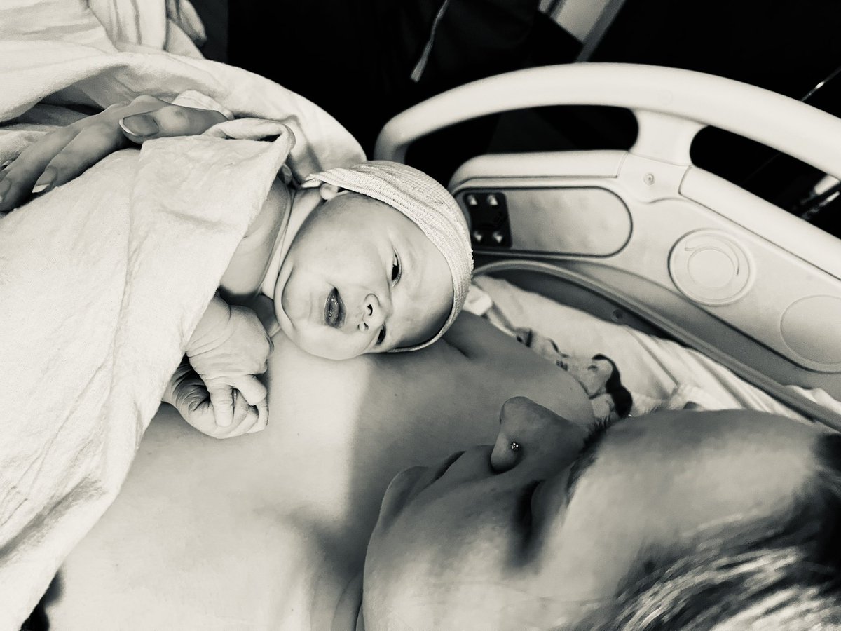 Chrysta 🦋 tweet media