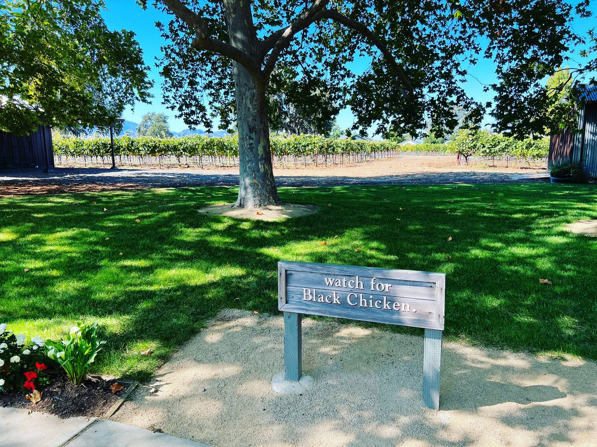 Mark Gudgel (he/him) tweet media