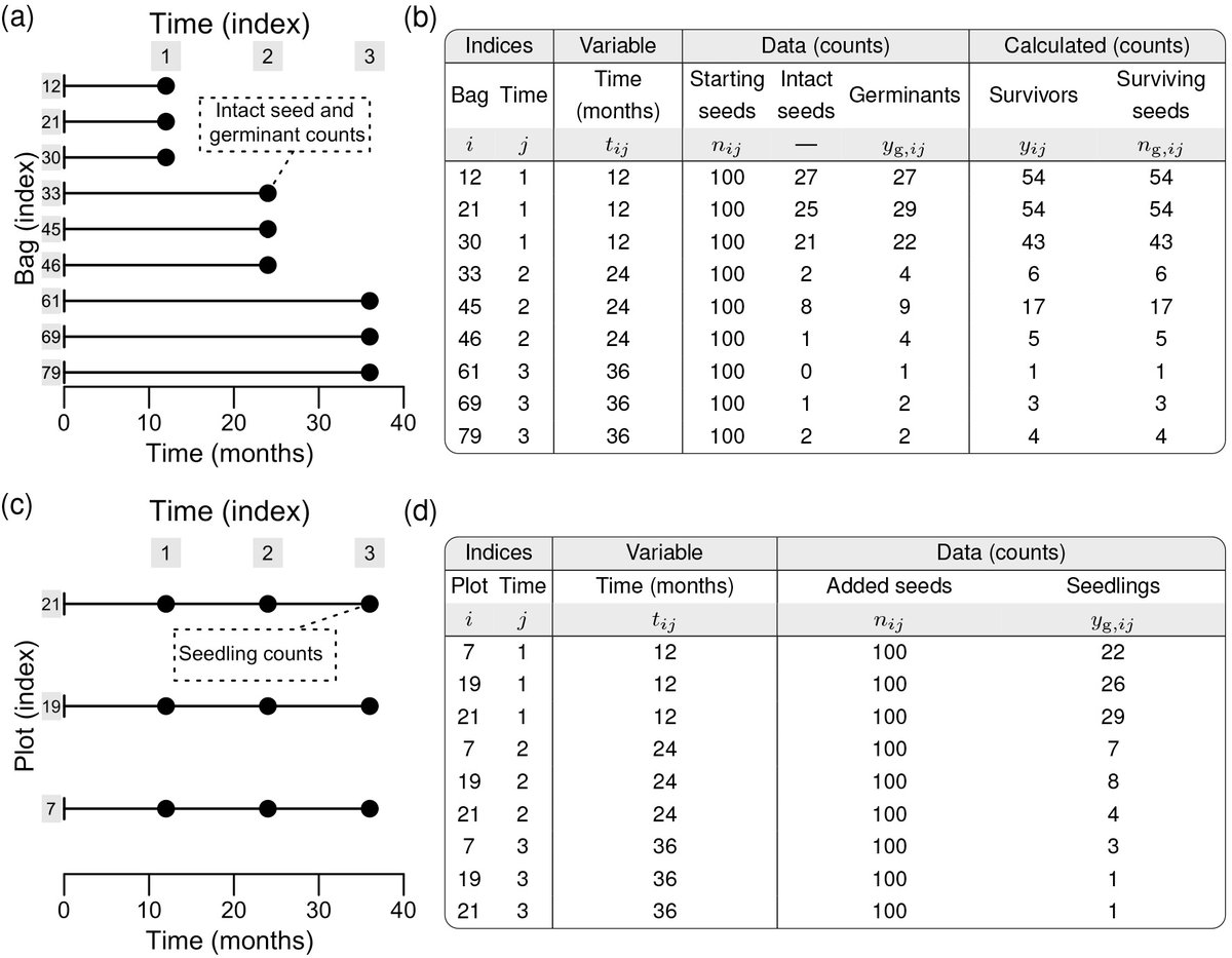 ESAEcology's tweet photo. Now online in @ESAEcology:
Statistical inference for seed mortality and germination with seed bank experiments
https://t.co/oO6SHT2q51
With #OpenData in @ZENODO_ORG
#Statistics #DataAnalysis #EventHistoryAnalysis #NSFFunded @NSF https://t.co/HxxK5FUYxN