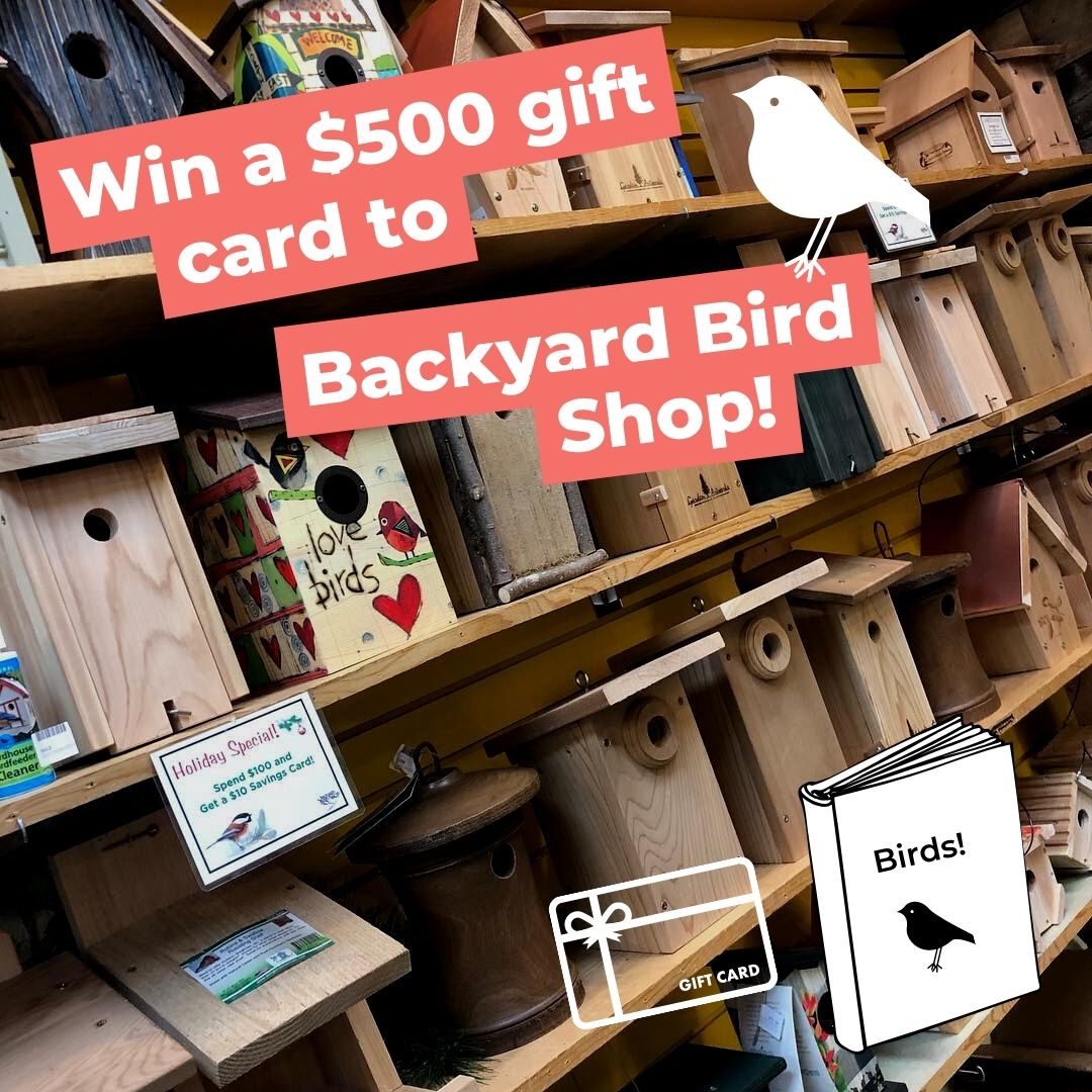 It’s time to break out your favorite bird identification book! Give $10 or more in the <a href="/GiveGuide/">Give!Guide</a> today and you could win a $500 gift card from Backyard Bird Shop. 

Find us in the Give!Guide here: giveguide.org/nonprofits/sma…