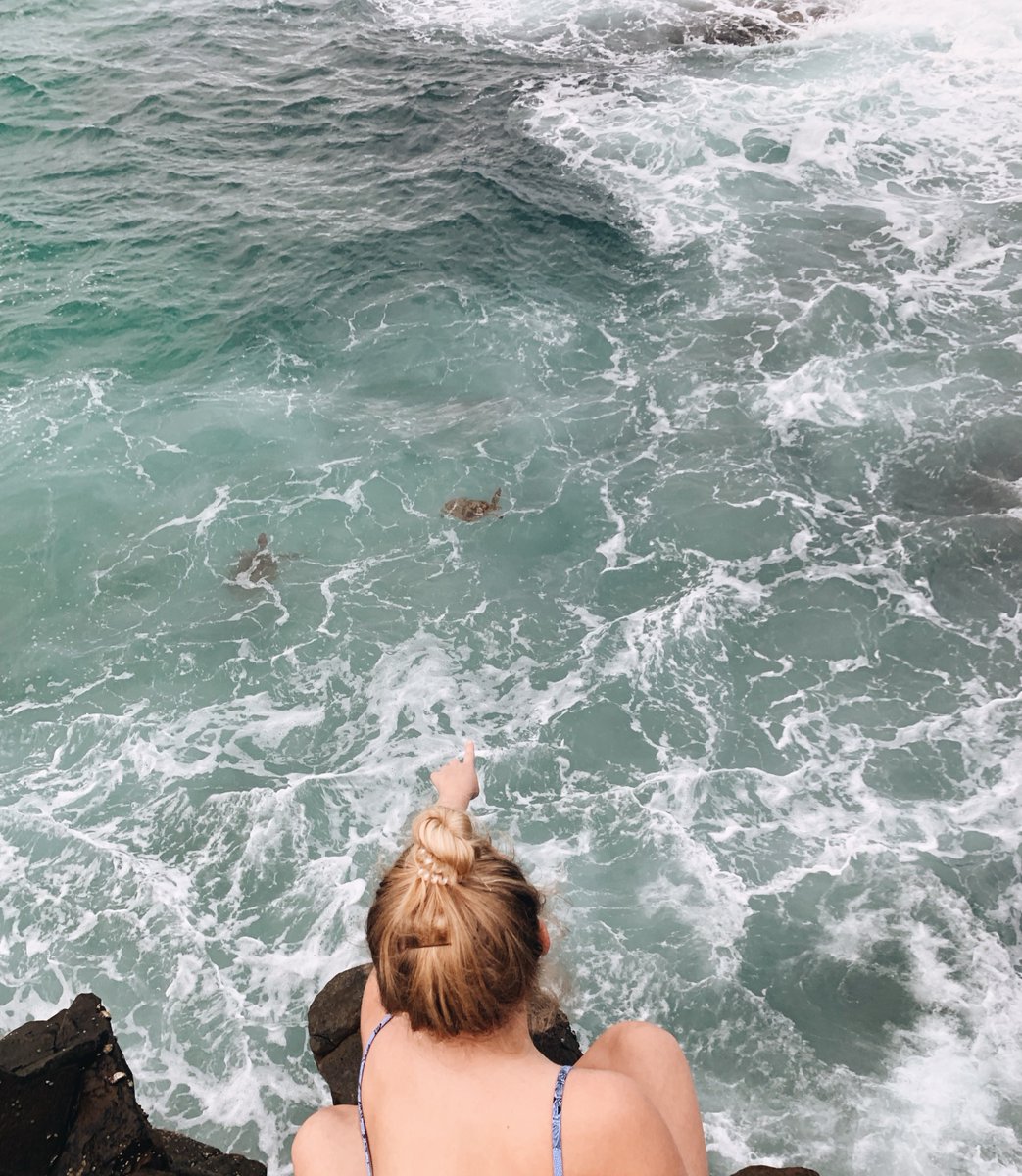 bwexplore's tweet photo. Did you study abroad in 2022? Let us know where below! We can't wait to see where you go next! #studyabroad #bwexplorations https://t.co/8pN84yFwAn