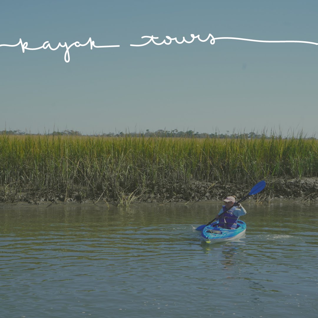 BHIConservancy tweet media