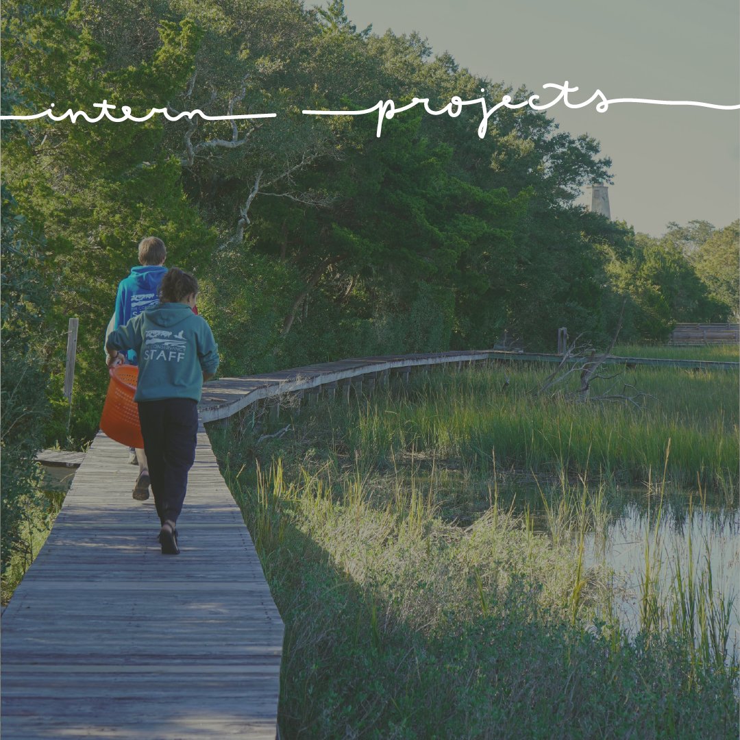 BHIConservancy tweet media