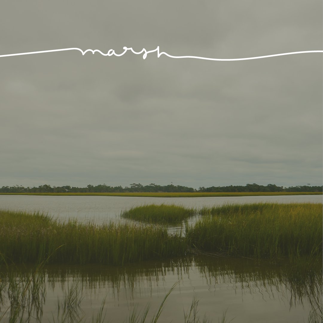 BHIConservancy tweet media