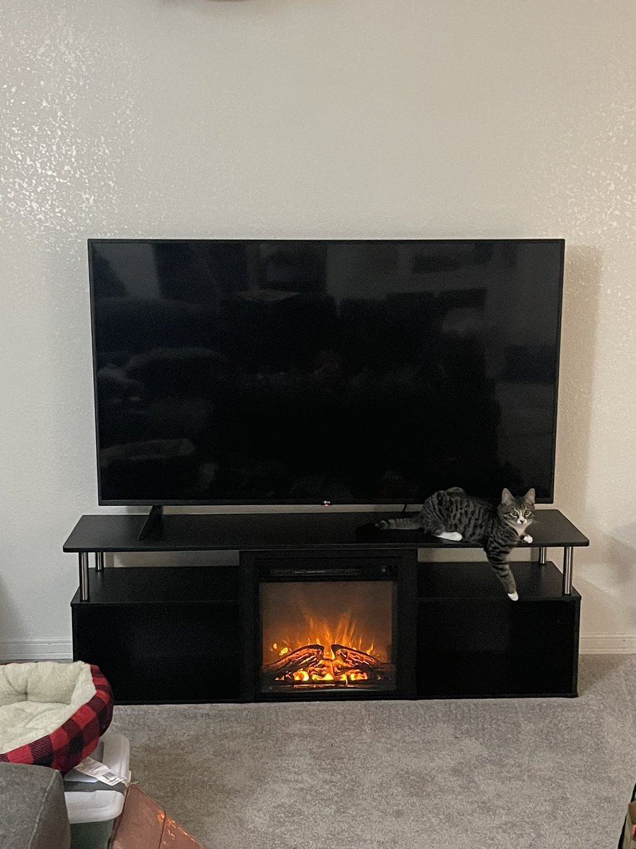 Just Jade tweet media