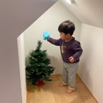 大きくなあれ♪クリスマスツリーに水をやる2歳児。