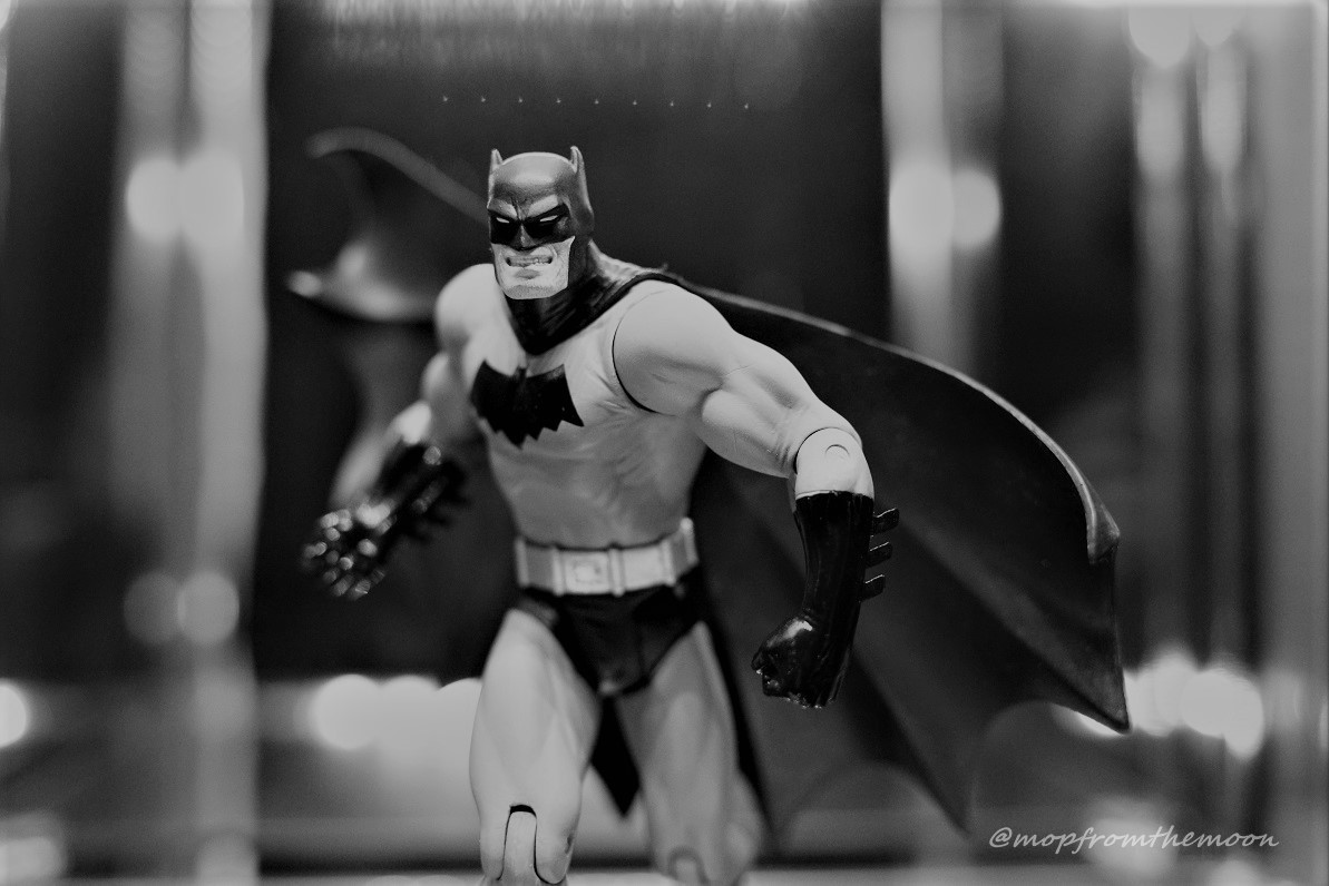 #夜のフィギュア撮影会
12/20 お題  『フリー』

⚪️⚫️🦇

#バットマン #Batman #DCDirect