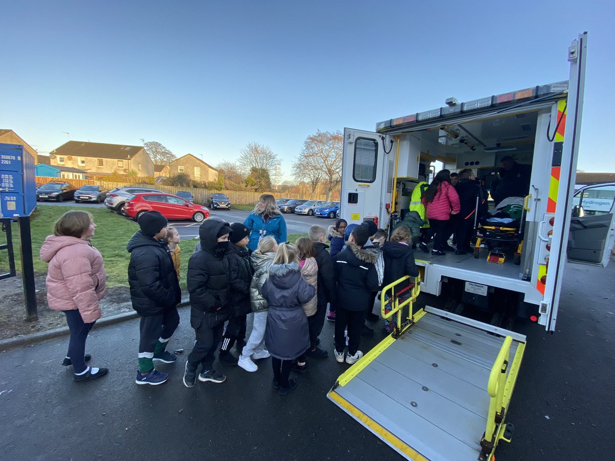 MrsR 👩‍🔬 P4 Teacher tweet media