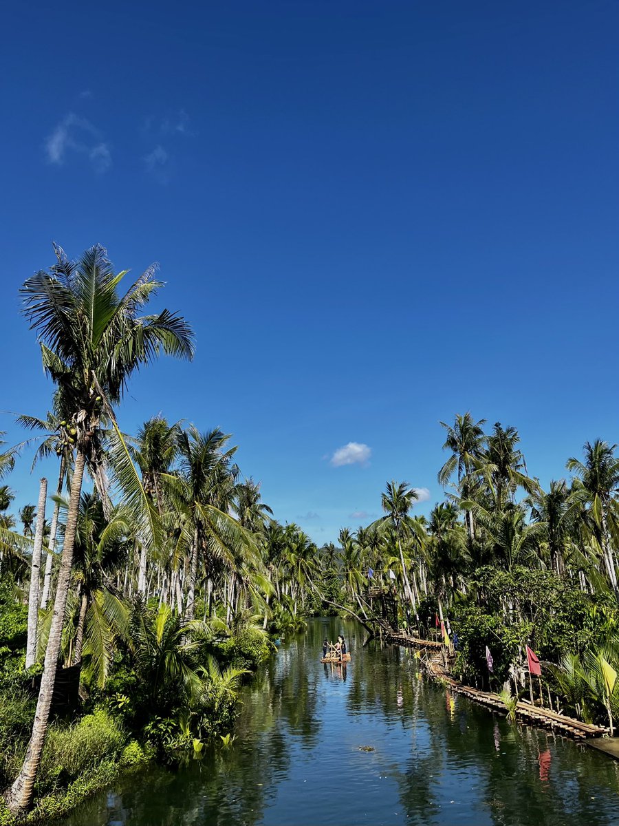 R E C A P 🌴🏖️🌊

#Siargao #Philippines #MaasinRiver  
#ItsMoreFunInThePhilippines