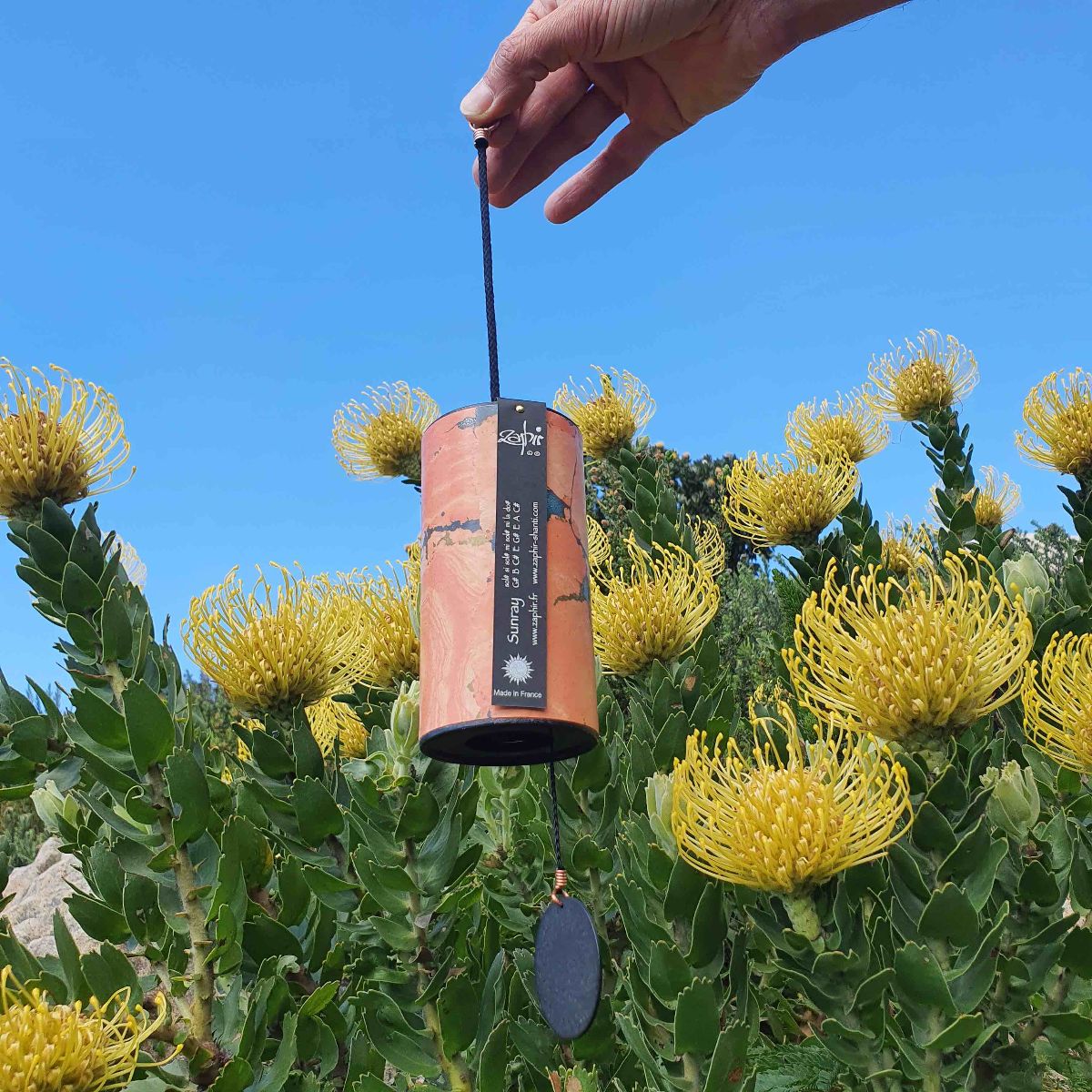 aFREAKa presents Zaphir Chimes 💗 - mailchi.mp/364608f98932/8…
Use discount code "Zaphir20" for 20% off your Zaphir Chimes order. afreaka.co.za

expires 31.12.2022