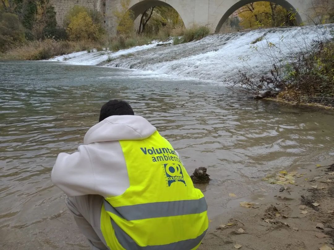 FMontemadrid's tweet photo. ¿Sabes en qué consiste el proyecto «Microplásticos MACROBASURA»? Es la iniciativa en la que está inmersa actualmente @fundacionO2, entidad que apoyamos desde la #ConvocatoriaMADS, junto a @caixabank. ¡Os contamos en que están trabajando! ➕
#microplasticosmacrobasura https://t.co/pkhNcpQA5Q