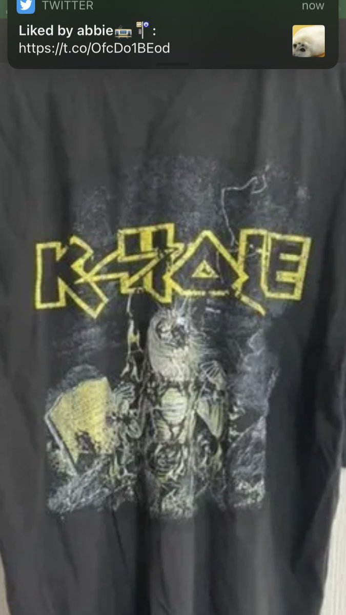 DownloadFolder's tweet image. Me