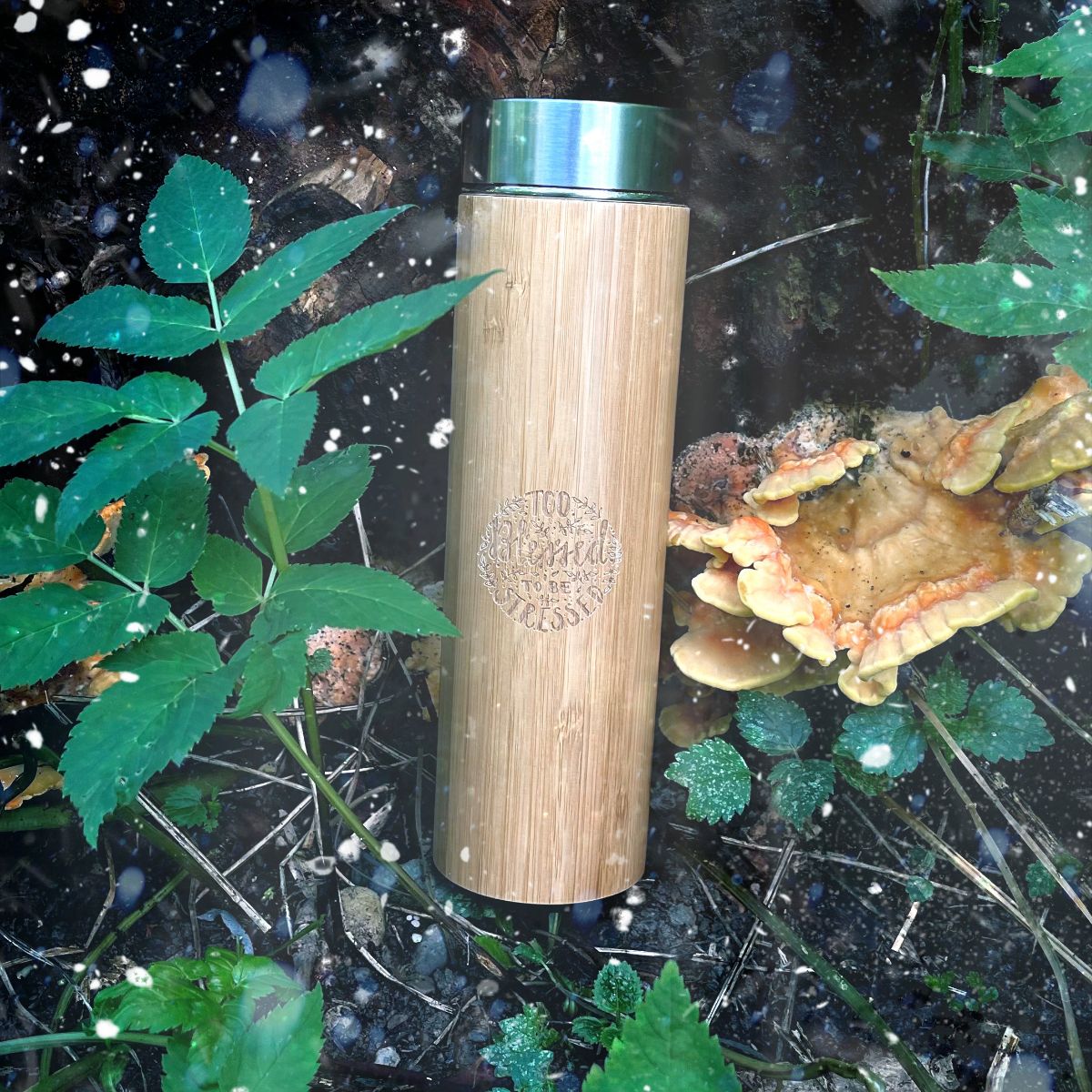 Hast du schon alle Geschenke für Weihnachten? Wenn nicht, schau doch mal in unserem Onlineshop vorbei! Du hast noch bis Donnerstag um 12 Uhr Zeit, deine Bestellung abzuschicken, damit sie noch vor Weihnachten pünktlich bei dir ankommt. blessed.clothing