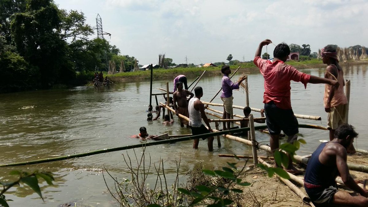 anshugoonj's tweet photo. 66 villagers came together to make this 150 ft long and 5 ft wide strong bamboo bridge using nothing apart from local resources, wisdom, and skill.
Village - Jokajalmarai
Block - Krityanand Nagar
District - Purnia
State- Bihar
#30Days30Stories #Goonj #clothforwork https://t.co/j1rflzd1wj
