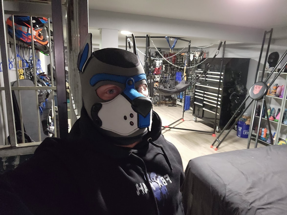 rbrpup's tweet photo. Wanna come over and play? https://t.co/txBybdMMPf