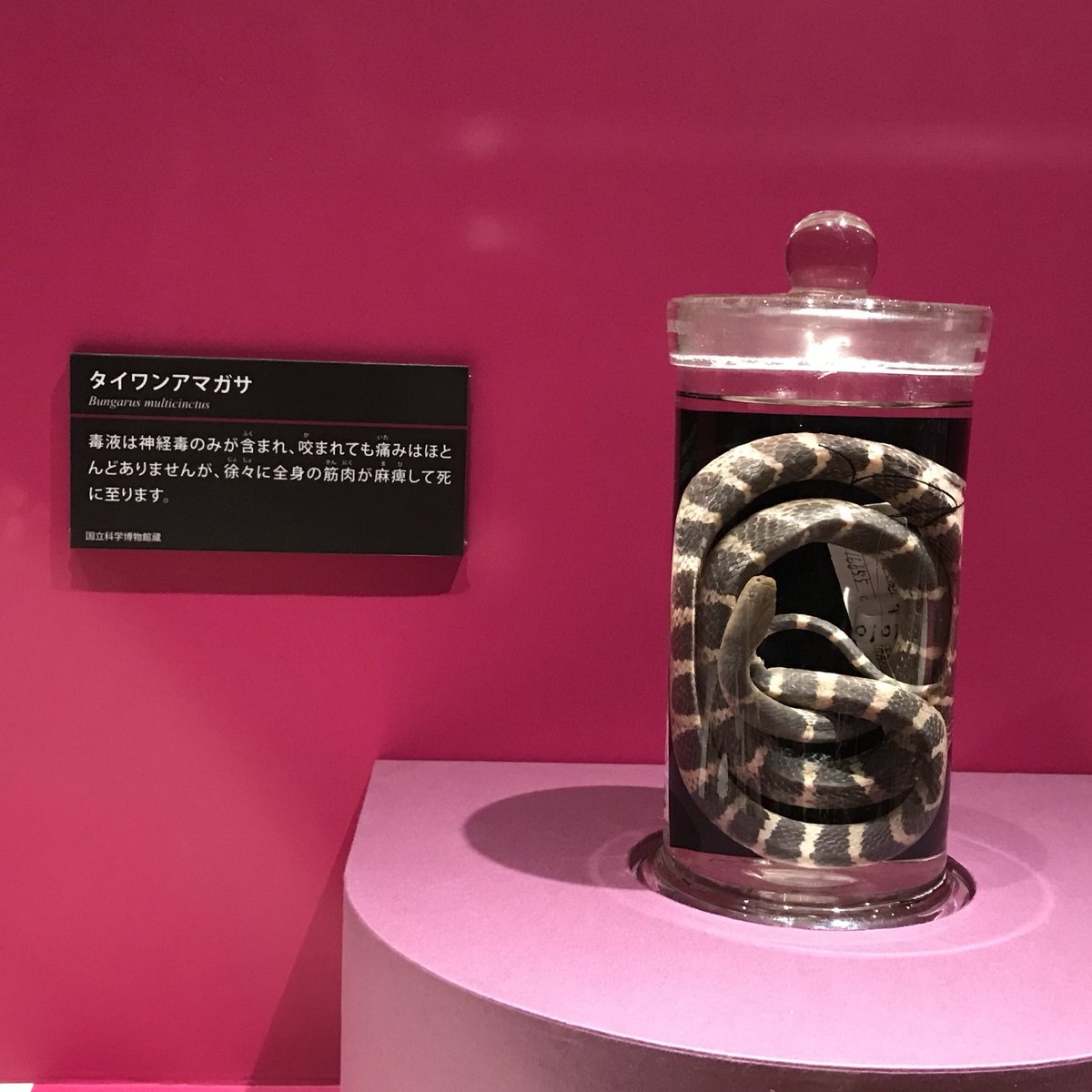 なつや 🏍🐎💭💭 on Twitter