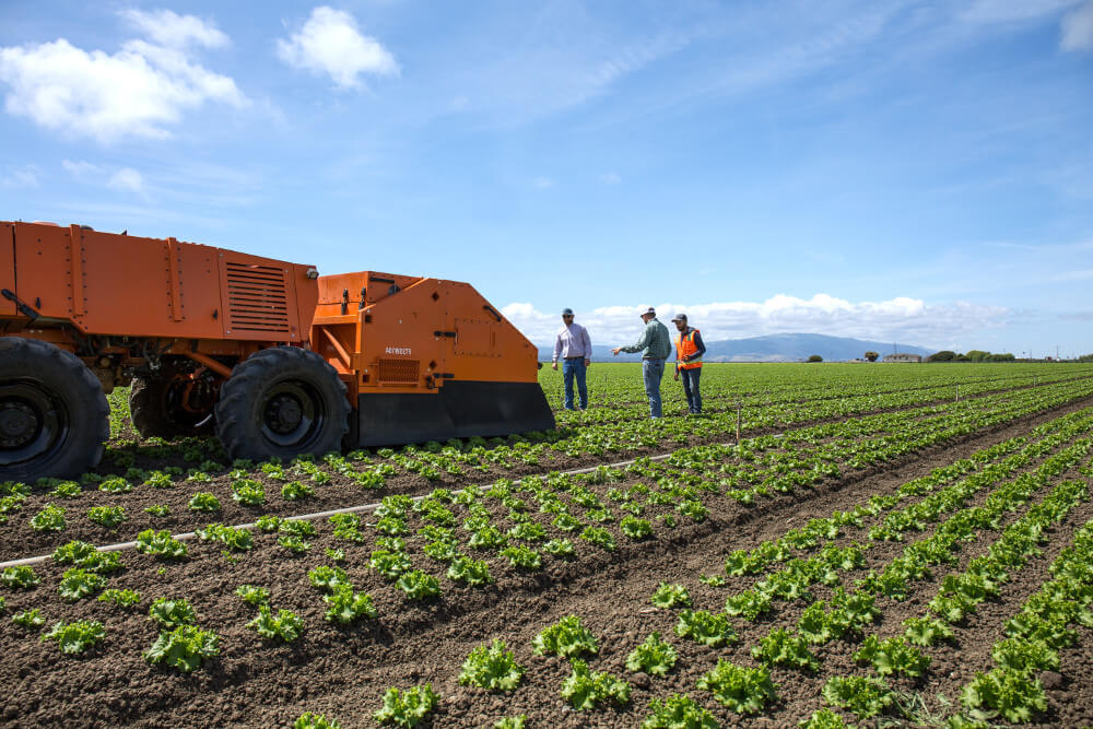 moueller1961's tweet image. #ROBOTICS #STARTUP #STARTUPSTOWATCH:HERE&apos;S  a list of 30 notable robotics startups TO WATCH! 
*eweek.com/enterprise-app… #Agtech #edtech..#AI #MachineLearning #ML..