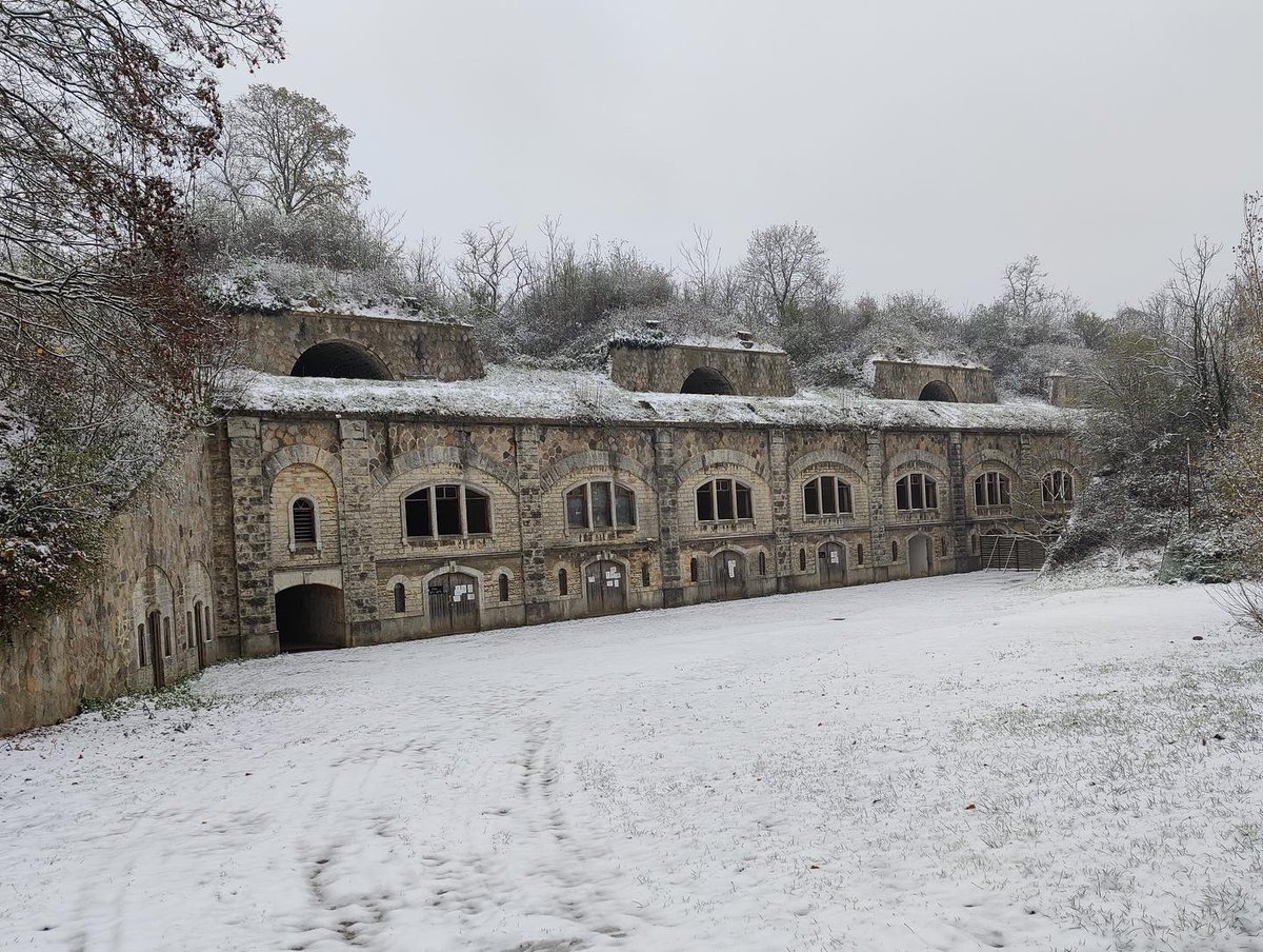 Fort de Feyzin tweet media