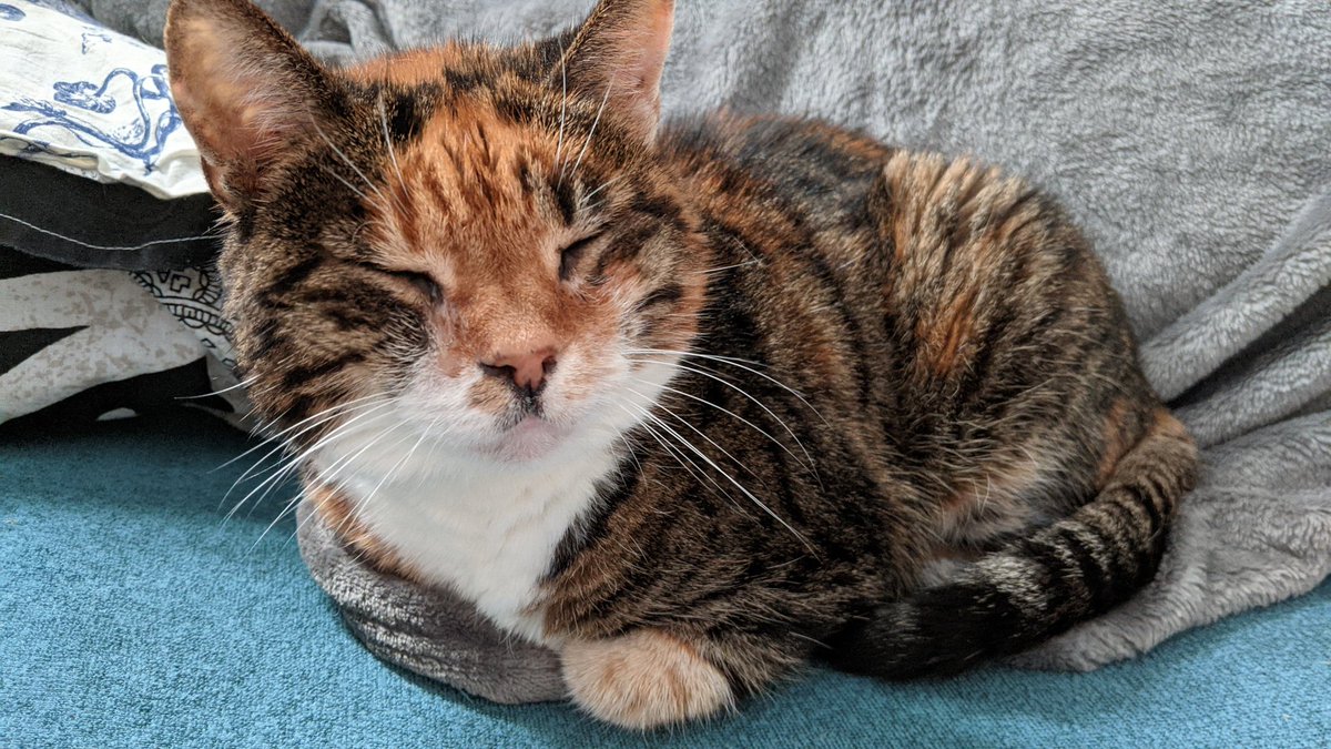 Booty🤙 tweet media