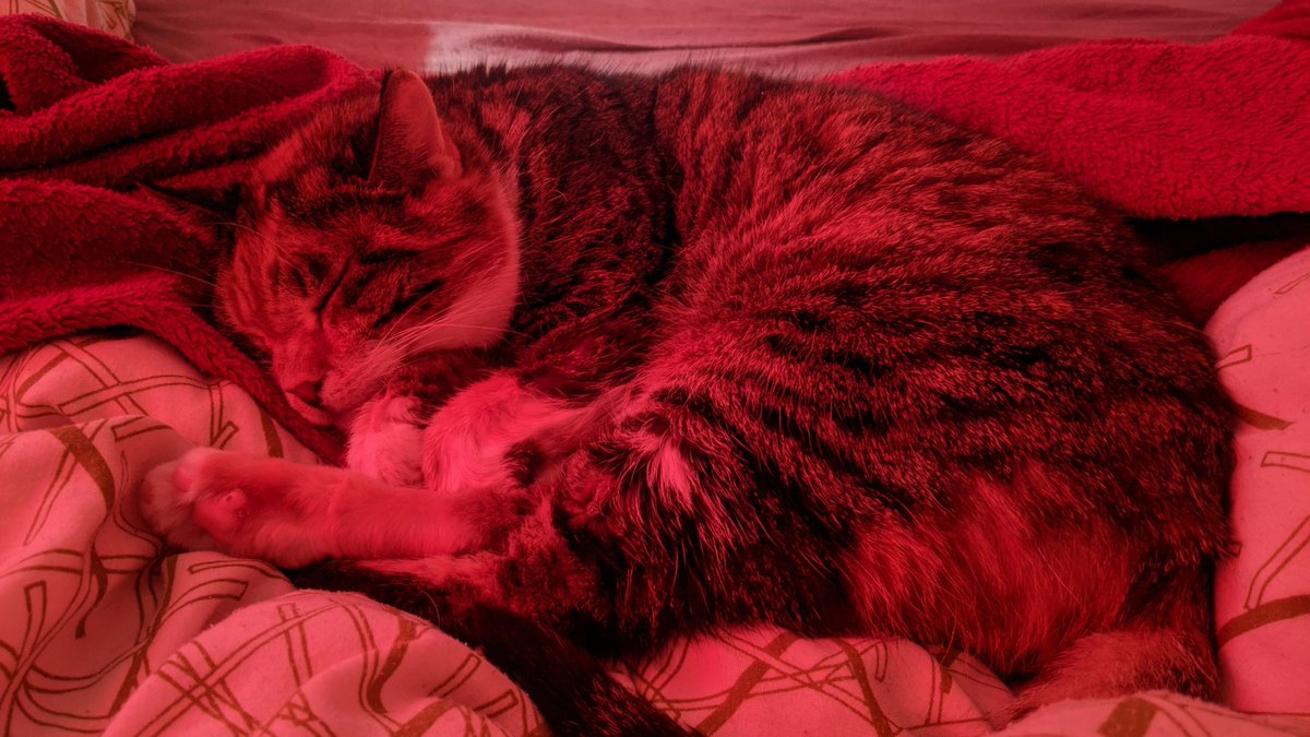 Booty🤙 tweet media