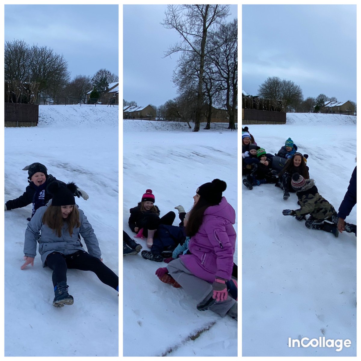 MrsR 👩‍🔬 P4 Teacher tweet media