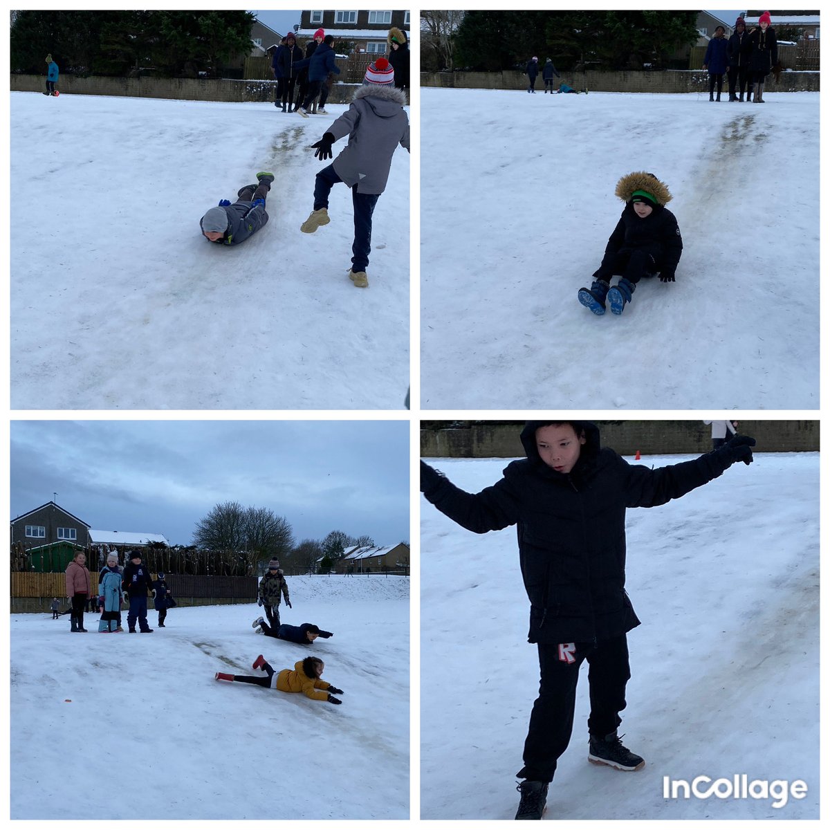 MrsR 👩‍🔬 P4 Teacher tweet media