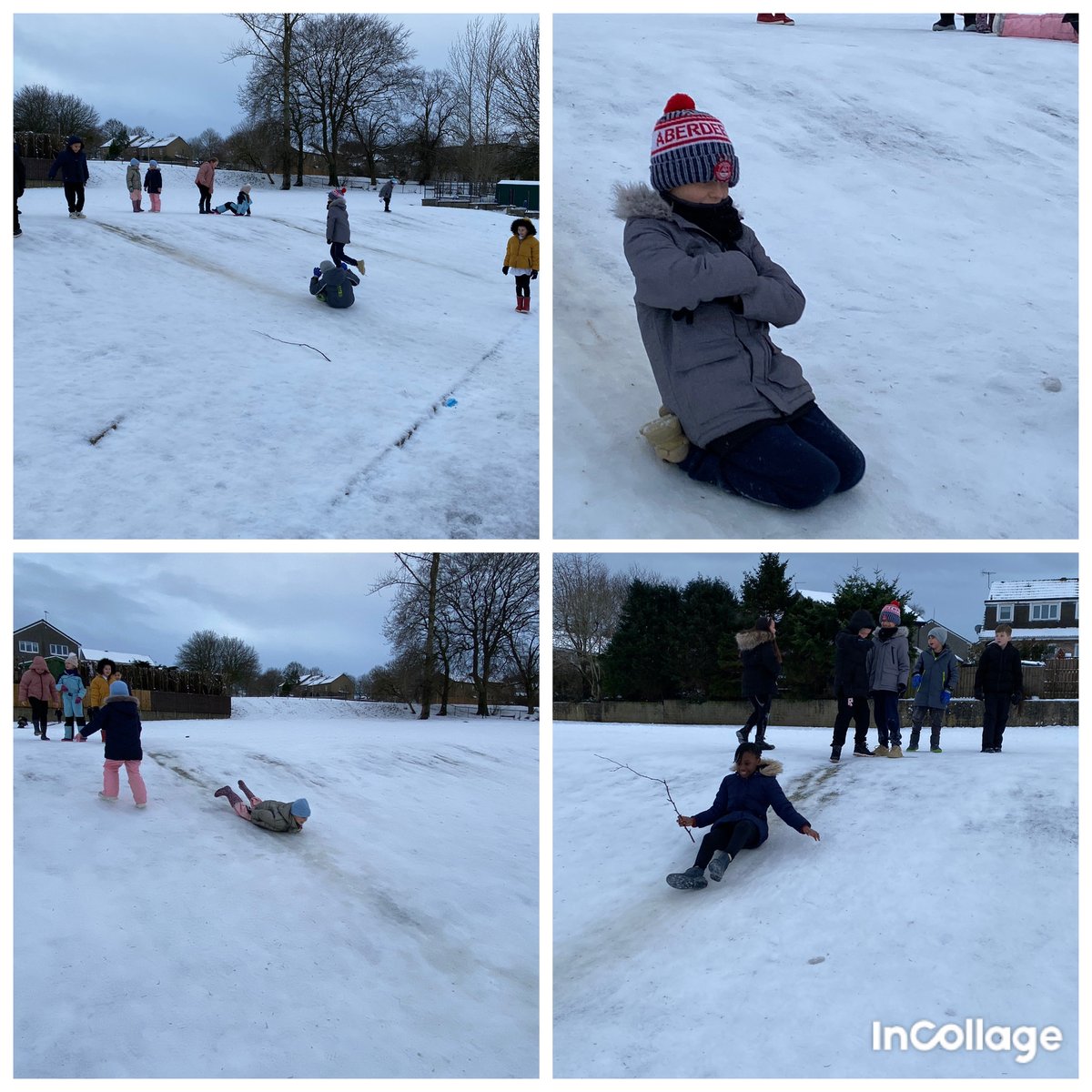 MrsR 👩‍🔬 P4 Teacher tweet media