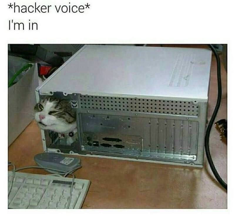 WholesomeMeme's tweet photo. https://t.co/MvTYZYLwQh