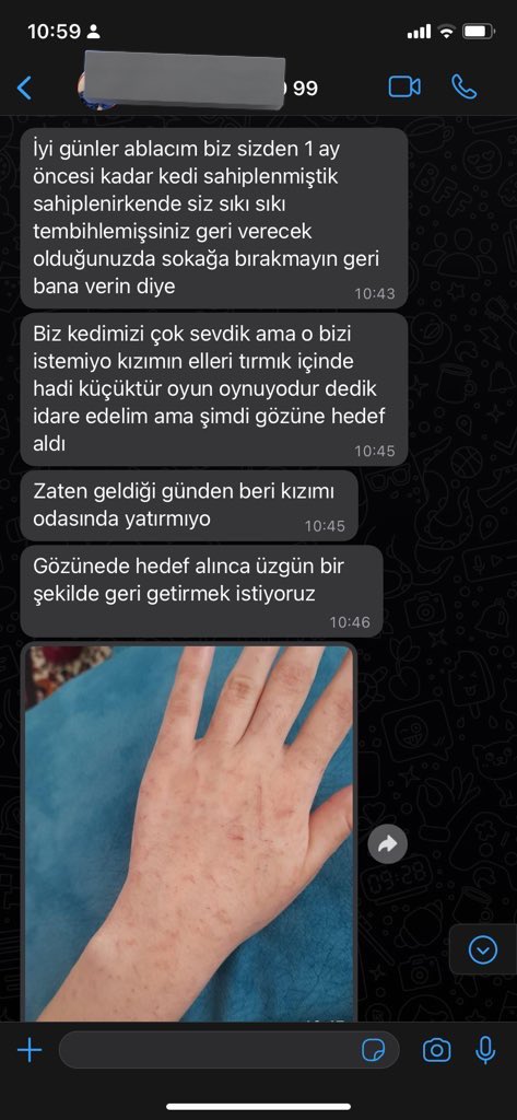 Küçük bebeğim tırmaladığı için geri geliyo yuvasından DENİZLİ İÇİ ÖMÜRLÜK YUVASINI ARIYORUM