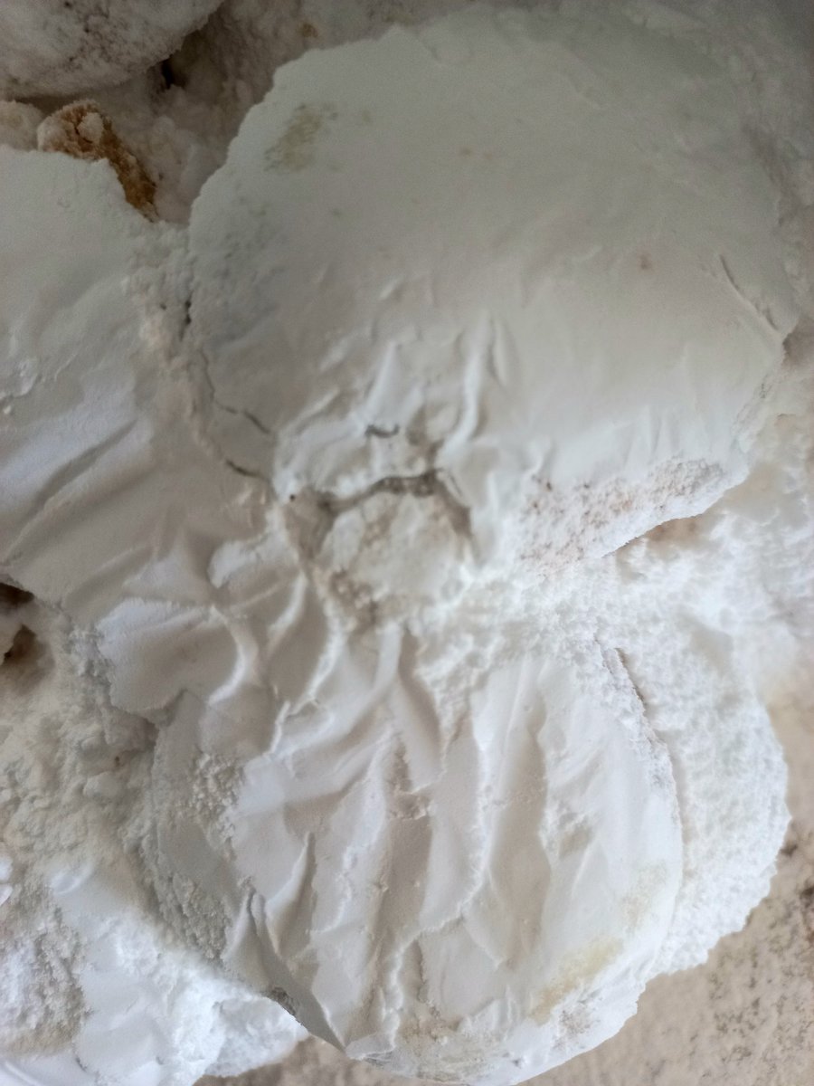 vouryia's tweet photo. Goodmorning from Athens Greece! These are the #desserts that we prepare during #Christmas and are unique to this season. Just bought some for our guests today, as a treat after the #winetour with #vouryia. Feel free to serve yourselves with #melomakarona #kourabiedes or #diples ! https://t.co/BdxMvDVVU7