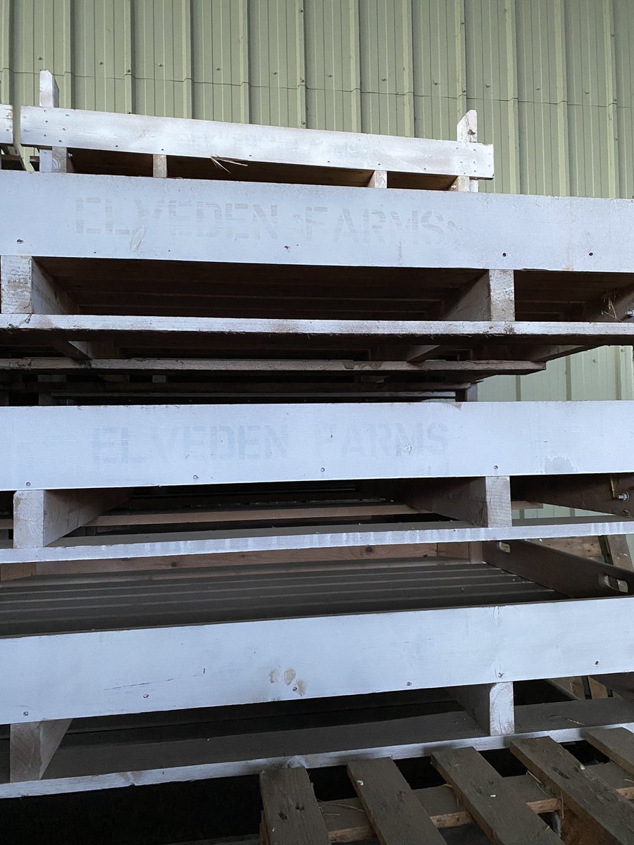 Anna Hunt tweet media