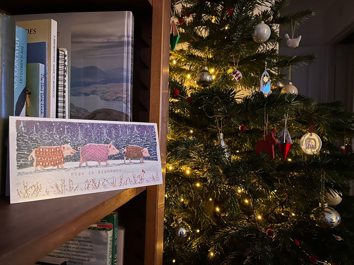 H2020_FRAMEwork's tweet photo. 🎄 #ChristmasCountdown...

📍 On Day 7 we have #pigs from the Game &amp; Wildlife Conservation Trust (GWCT) 

🧐  Did you know... although they cannot fly, pigs are actually good swimmers!

#GiftsOfNature #HappyHolidays https://t.co/I1w5WVQSOx