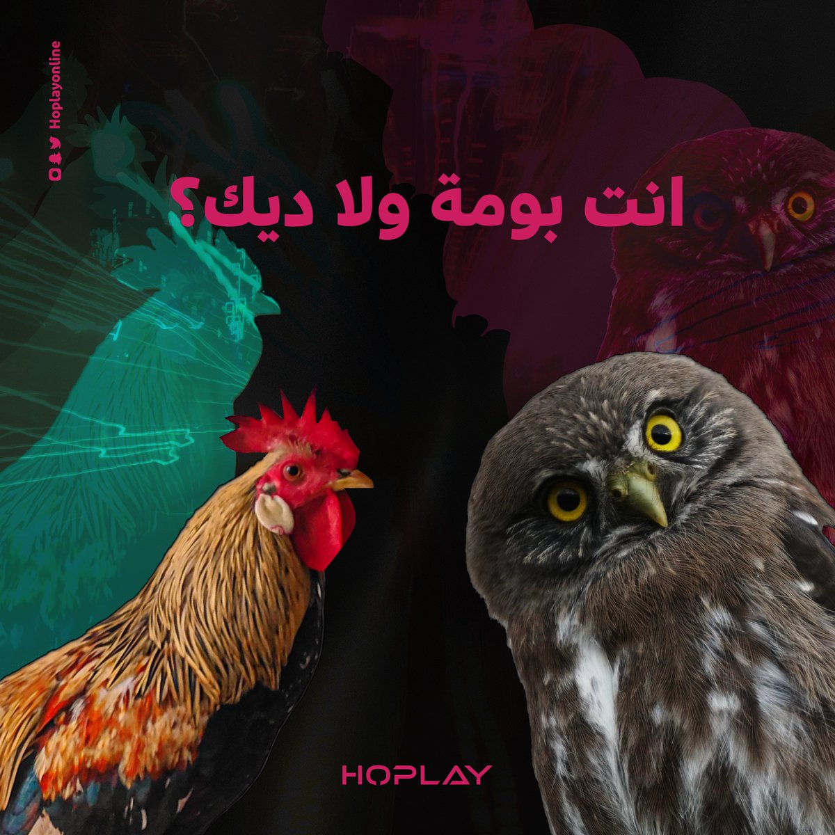 فيه نوعين من الناس اللي يحب الليل وفي النوع  اللي ينام على 7 مثل فرخ الدجاجة 😁😂