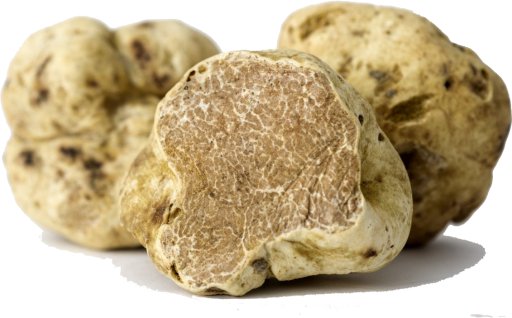 🎄 Salumeria nieuwsbrief 🎅🏼 - mailchi.mp/825290dfee95/s…