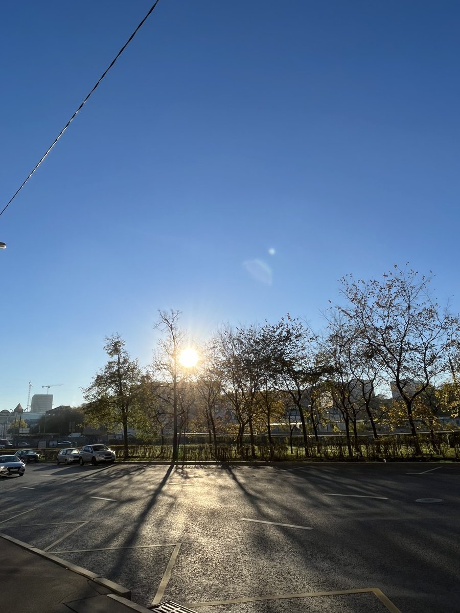 Cionegate | 🐇✨🕳🐰 tweet media