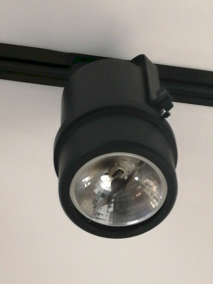 Backacia tweet media