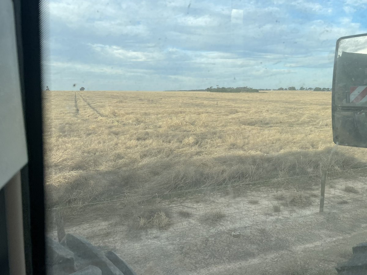 Harvest time 👏🏿👏🏿 this should be interesting