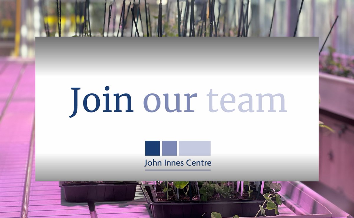 John Innes Centre (@johninnescentre) on Twitter photo VACANCY - We're looking for a Postdoctoral Researcher to join the <a href="/SaskiaHogenhout/">Saskia Hogenhout</a> Hogenhout Group at the John Innes Centre to study molecular processes in host-pathogen interactions
okt.to/lHGfwL
Closing date - 16th January 2023
Contract - 3 Years, full time VACANCY - We're looking for a Postdoctoral Researcher to join the <a href="/SaskiaHogenhout/">Saskia Hogenhout</a> Hogenhout Group at the John Innes Centre to study molecular processes in host-pathogen interactions
okt.to/lHGfwL
Closing date - 16th January 2023
Contract - 3 Years, full time