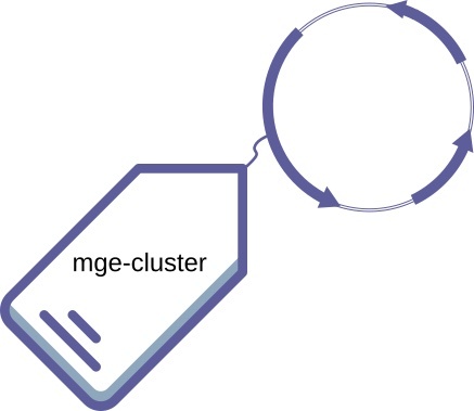 Sergi Arredondo (@sergi_arredondo) on Twitter photo We are excited to share the preprint behind mge-cluster, our new pipeline to cluster plasmid sequences <a href="/Becctococcus/">Dr. Rebecca Gladstone</a> <a href="/JGamma3/">J_Gamma</a> <a href="/AnitaSchurch/">Anita Schürch</a> <a href="/valflanza/">Val F. Lanza</a> @Orjan_Samuelsen @Paal_Johnsen We are excited to share the preprint behind mge-cluster, our new pipeline to cluster plasmid sequences <a href="/Becctococcus/">Dr. Rebecca Gladstone</a> <a href="/JGamma3/">J_Gamma</a> <a href="/AnitaSchurch/">Anita Schürch</a> <a href="/valflanza/">Val F. Lanza</a> @Orjan_Samuelsen @Paal_Johnsen